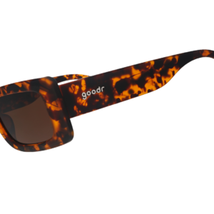 Came Here to Be Seen